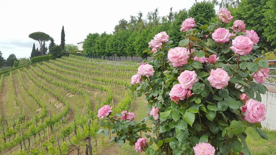 Residence Il Vigneto ラーリ エクステリア 写真