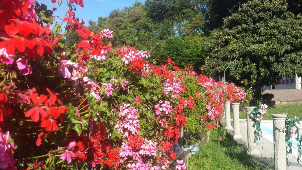 Residence Il Vigneto ラーリ エクステリア 写真